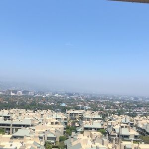 Meet your Posher, Griselda